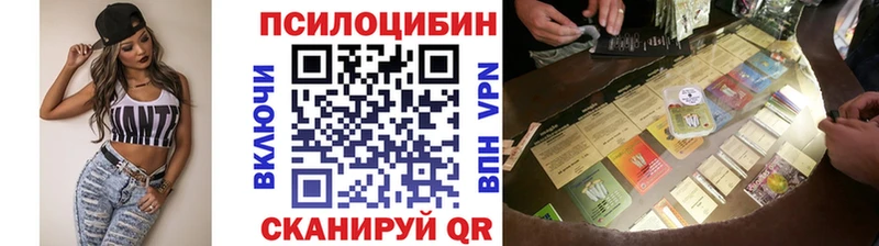 это телеграм  Заозёрный  Псилоцибиновые грибы Cubensis 